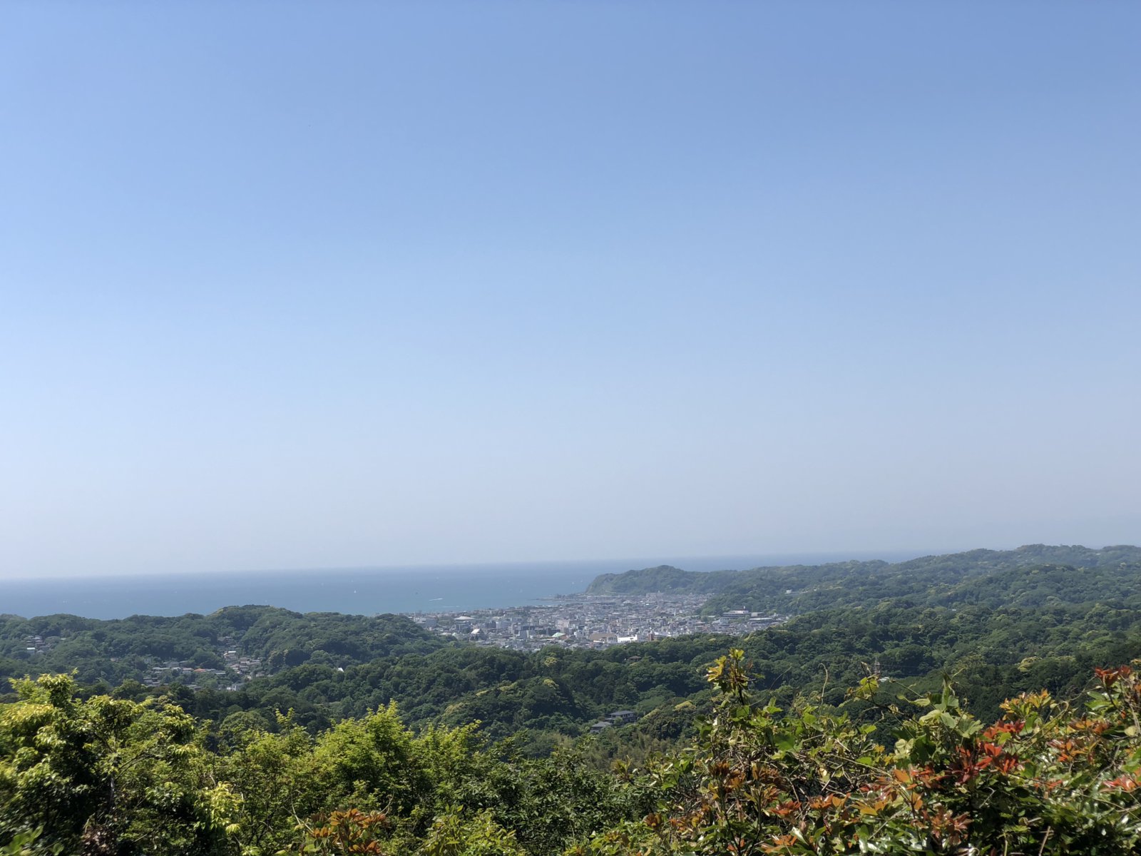 1B71B0E0-D565-43CA-8F45-2AB34AB6908E.jpeg