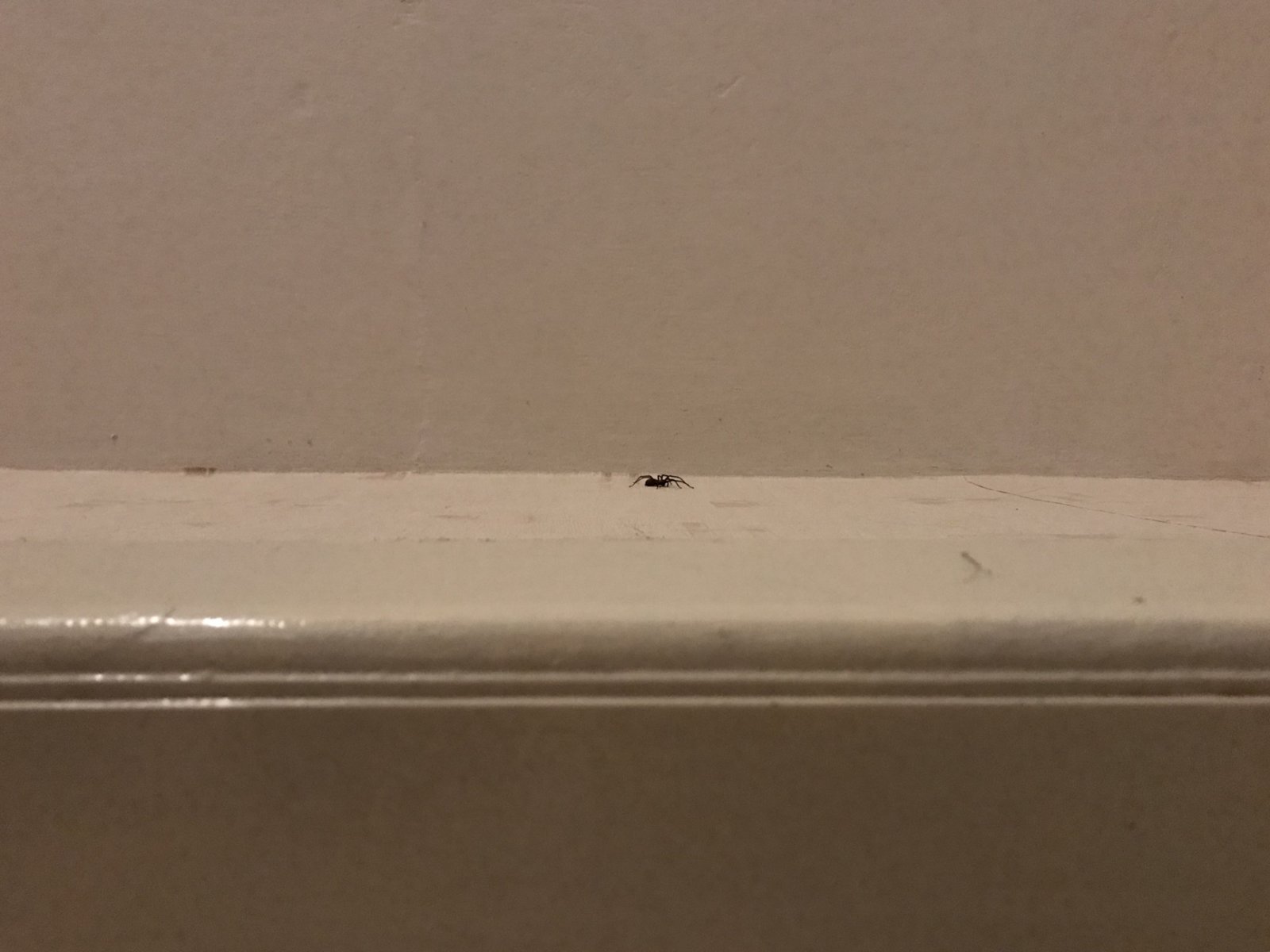 1D2F1925-0158-403C-962C-5BB9E28BEC4E.jpeg