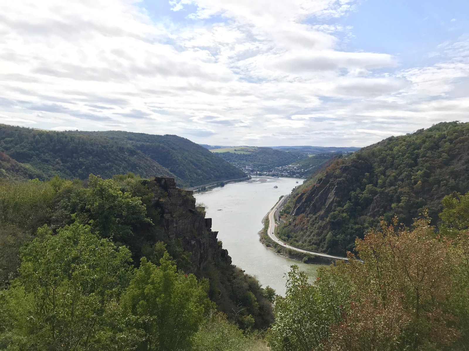 1E0235B1-8112-4D2C-A99F-D54EB3553A94.jpeg