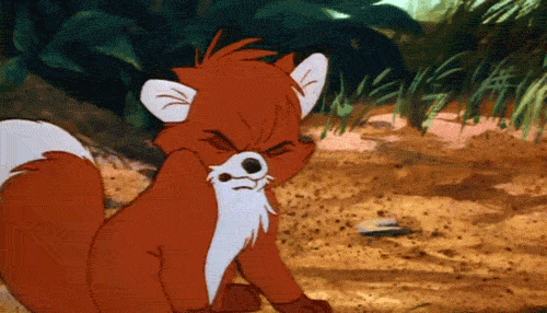 1Pyi8KuRGJ3AA.gif
