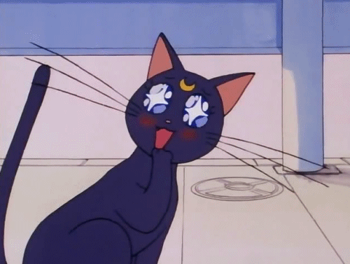 1ZpjBPNukaKys.gif