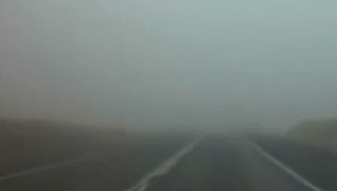 20 (1).gif