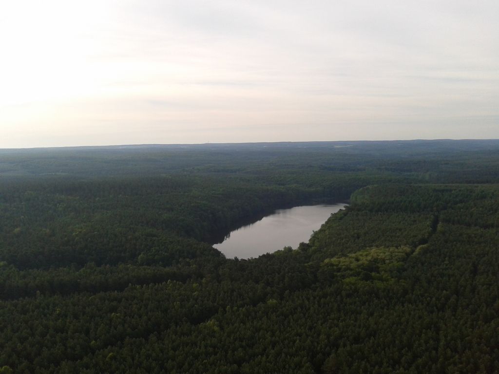 2013-06-16 06.42.16.jpg