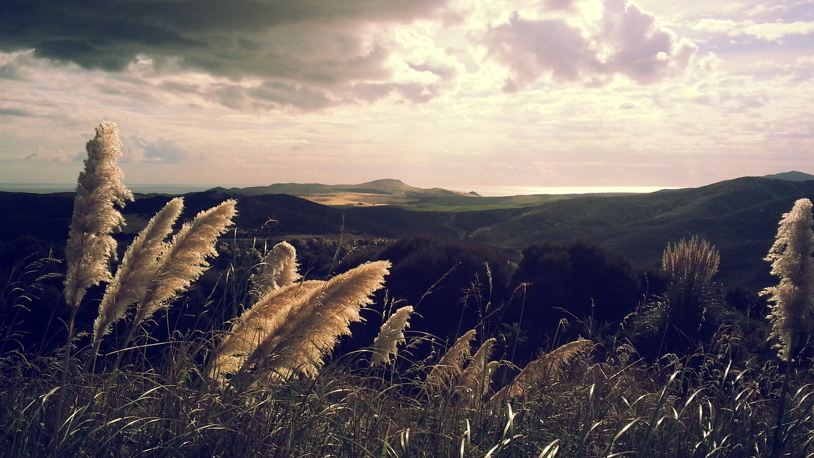 20130407_160907.jpg