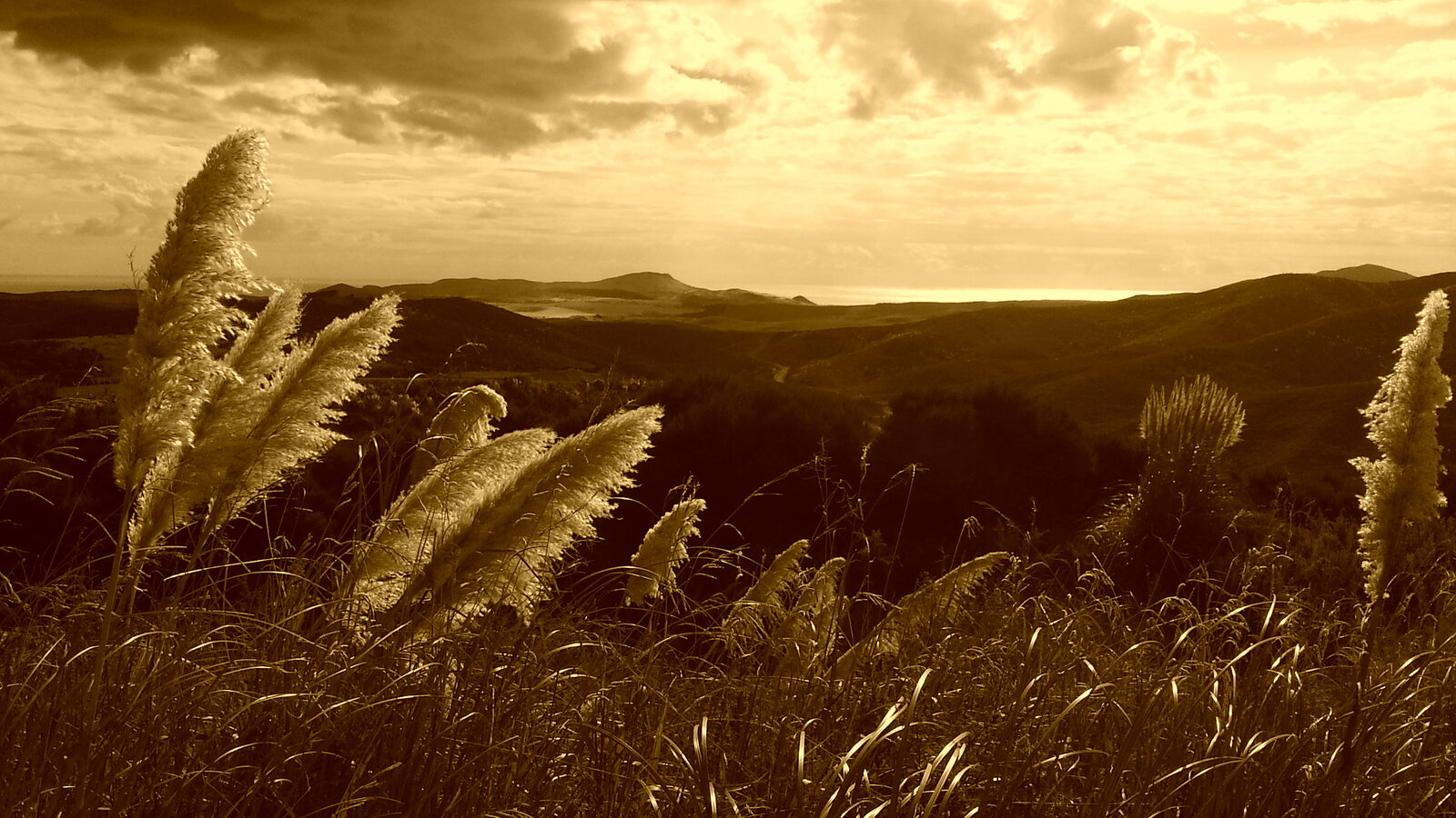 20130407_160947.jpg