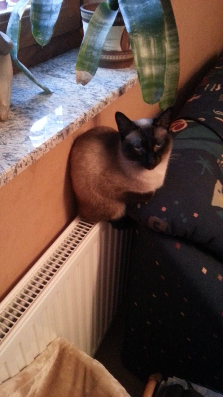 20131221_154614.jpg