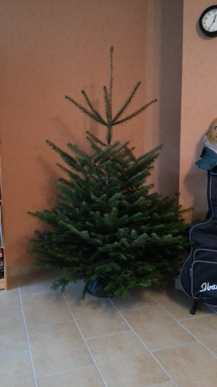 20131222_123527.jpg
