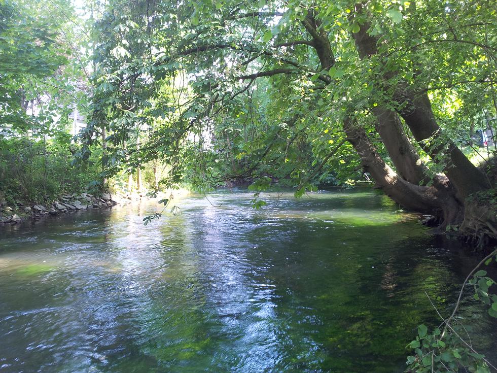 20140520_154614.jpg