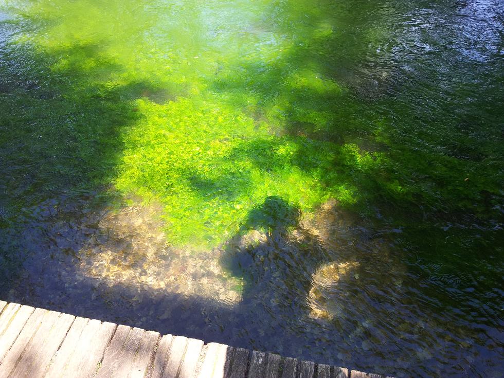 20140520_154742.jpg
