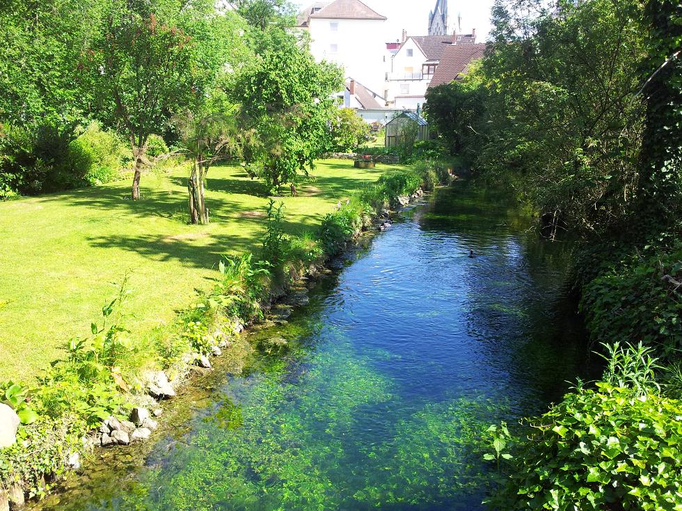 20140520_162421.jpg