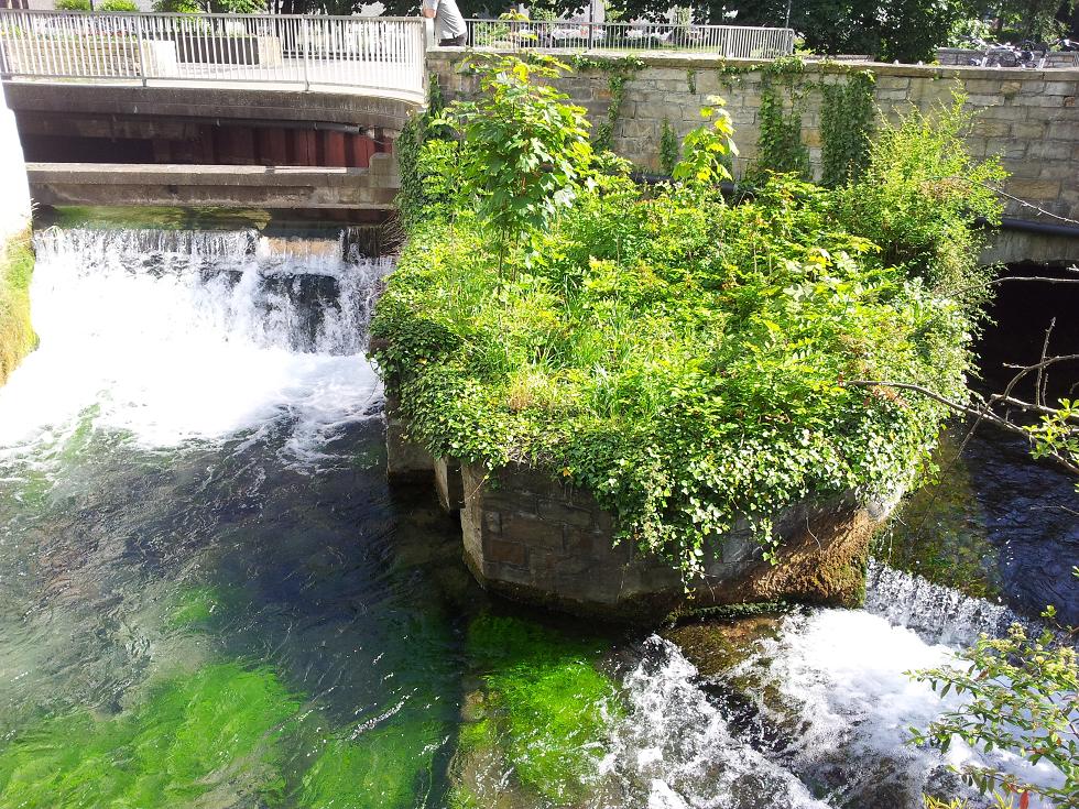 20140520_162611.jpg