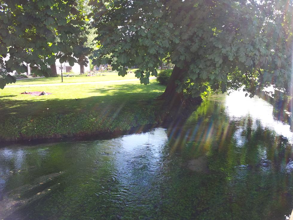 20140520_162658.jpg