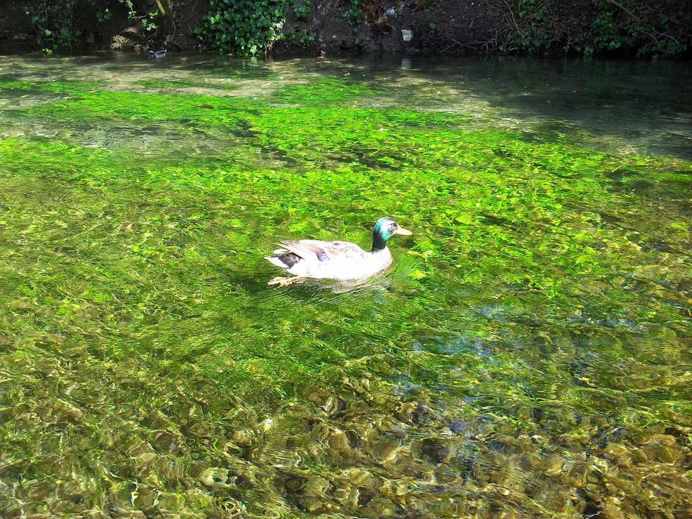 20140520_162919.jpg