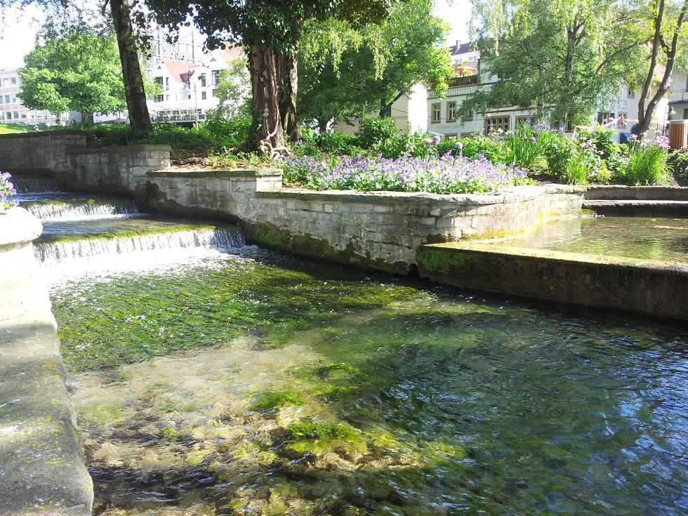 20140520_163622.jpg