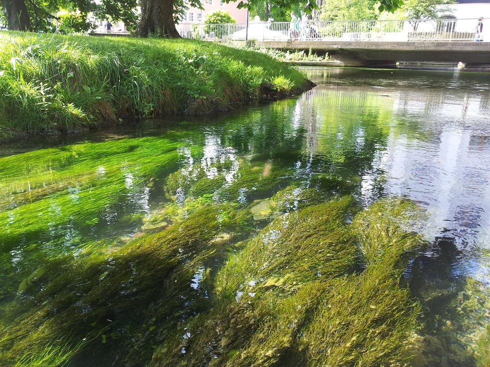 20140520_165716.jpg