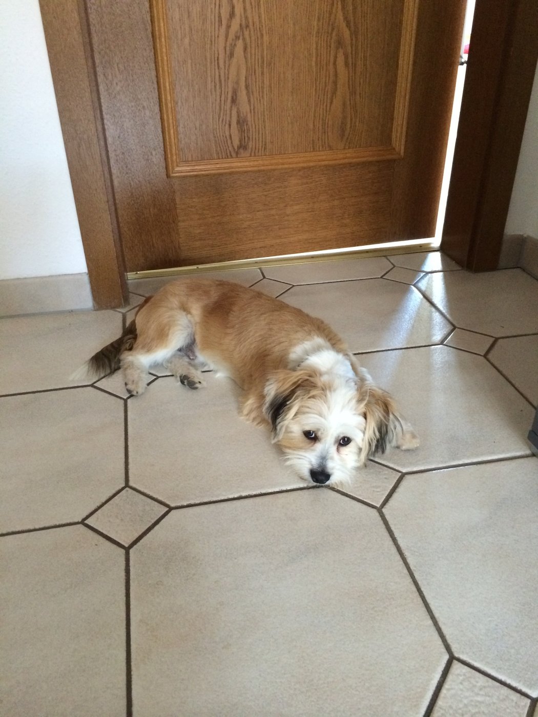 20140618_110458651_iOS.jpg