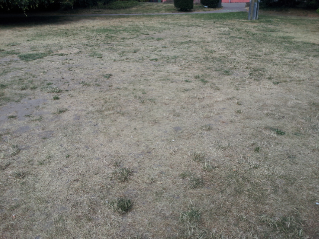 20140619_173648.jpg