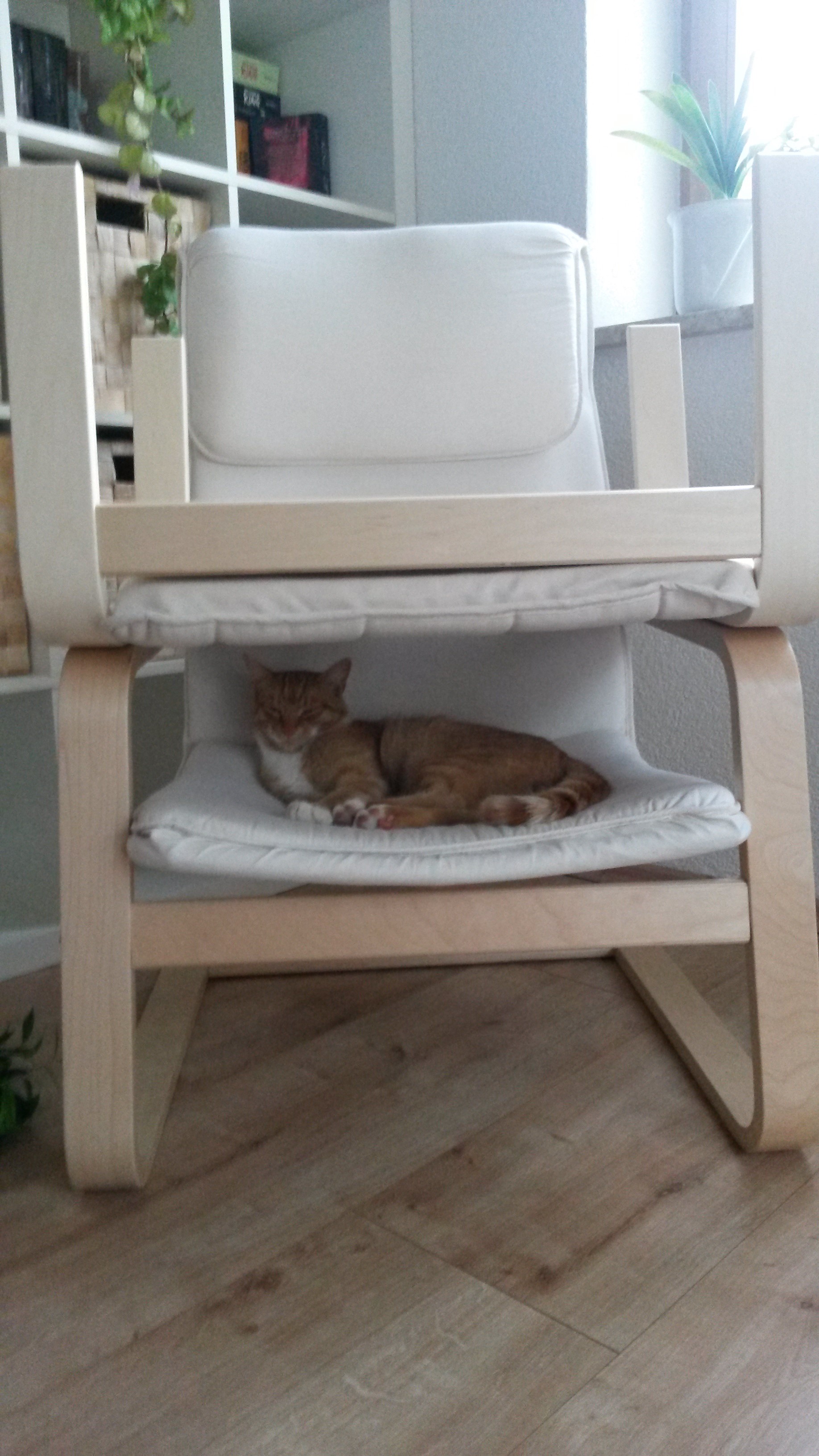 20140804_150900.jpg