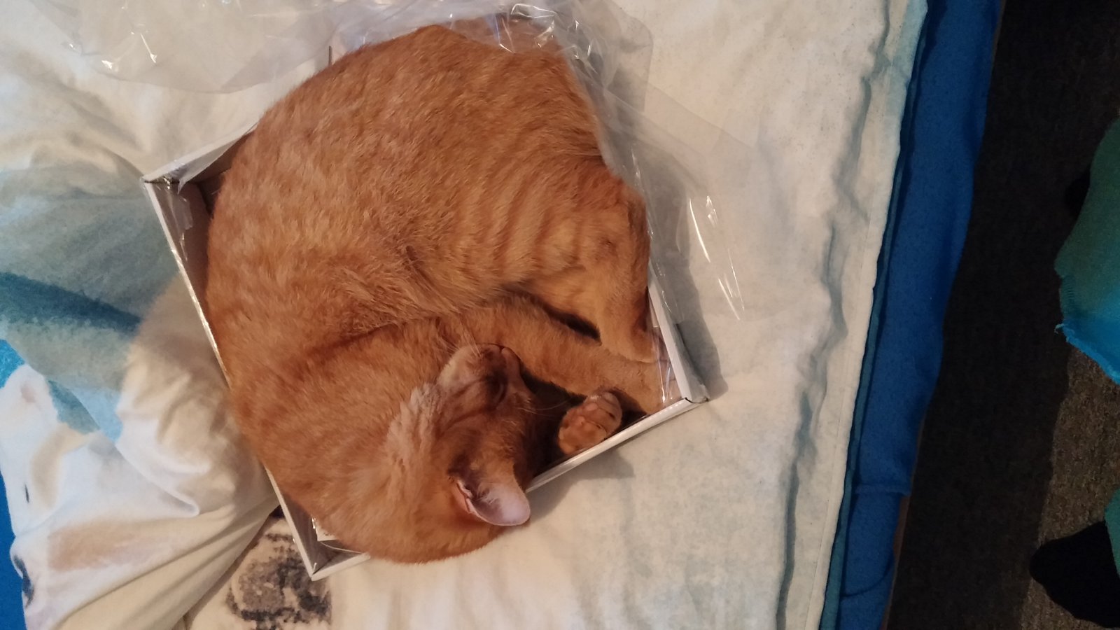 20141119_170452.jpg