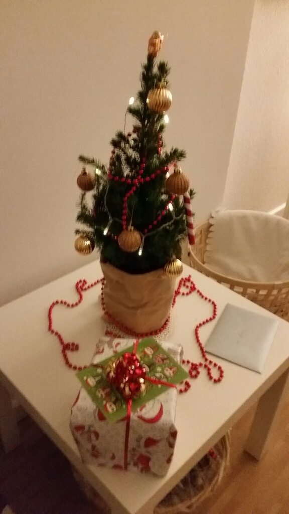2015-12-23 22.27.04.jpg
