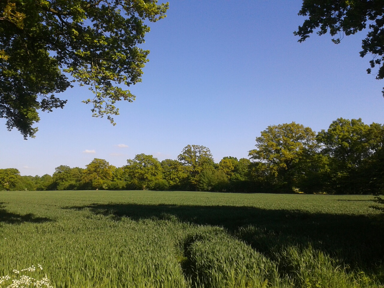 20150524_172424_resized_1.jpg
