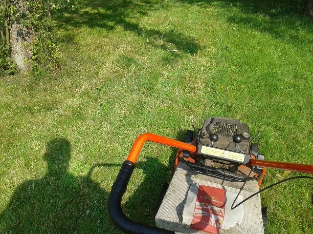 20150717_165735_resized_2.jpg