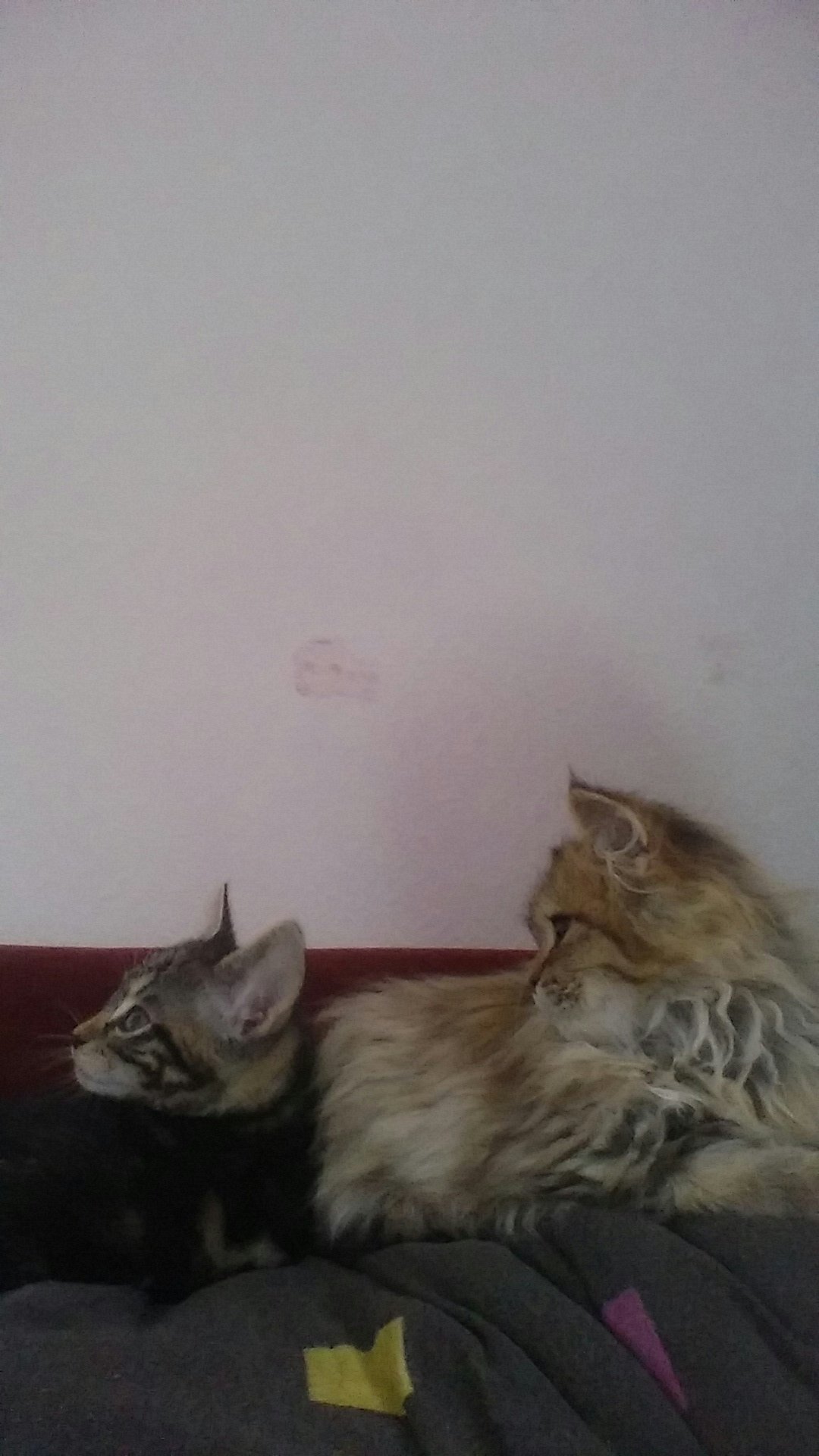 20150906_105421.jpg
