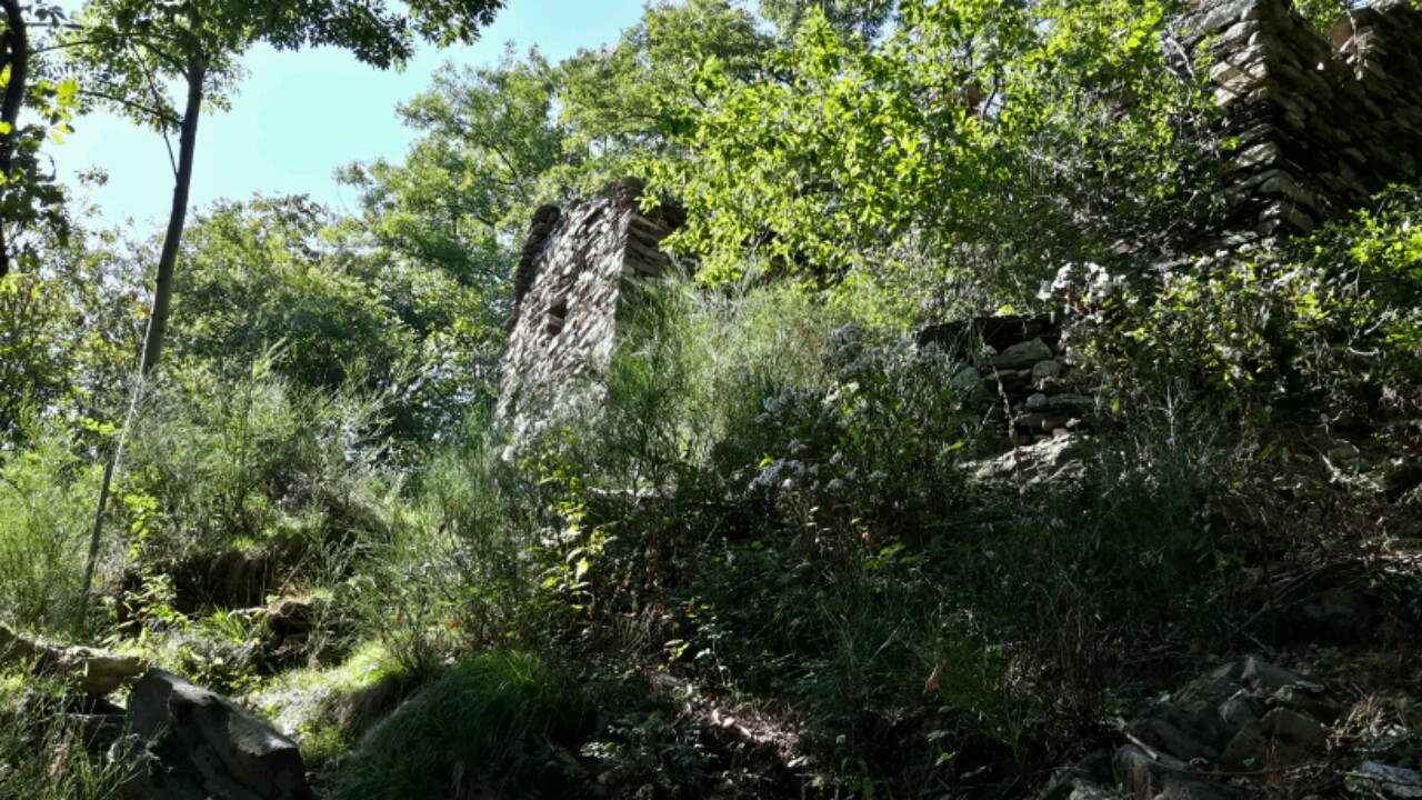 20150907_154052_Richtone(HDR)-1280x720.jpg