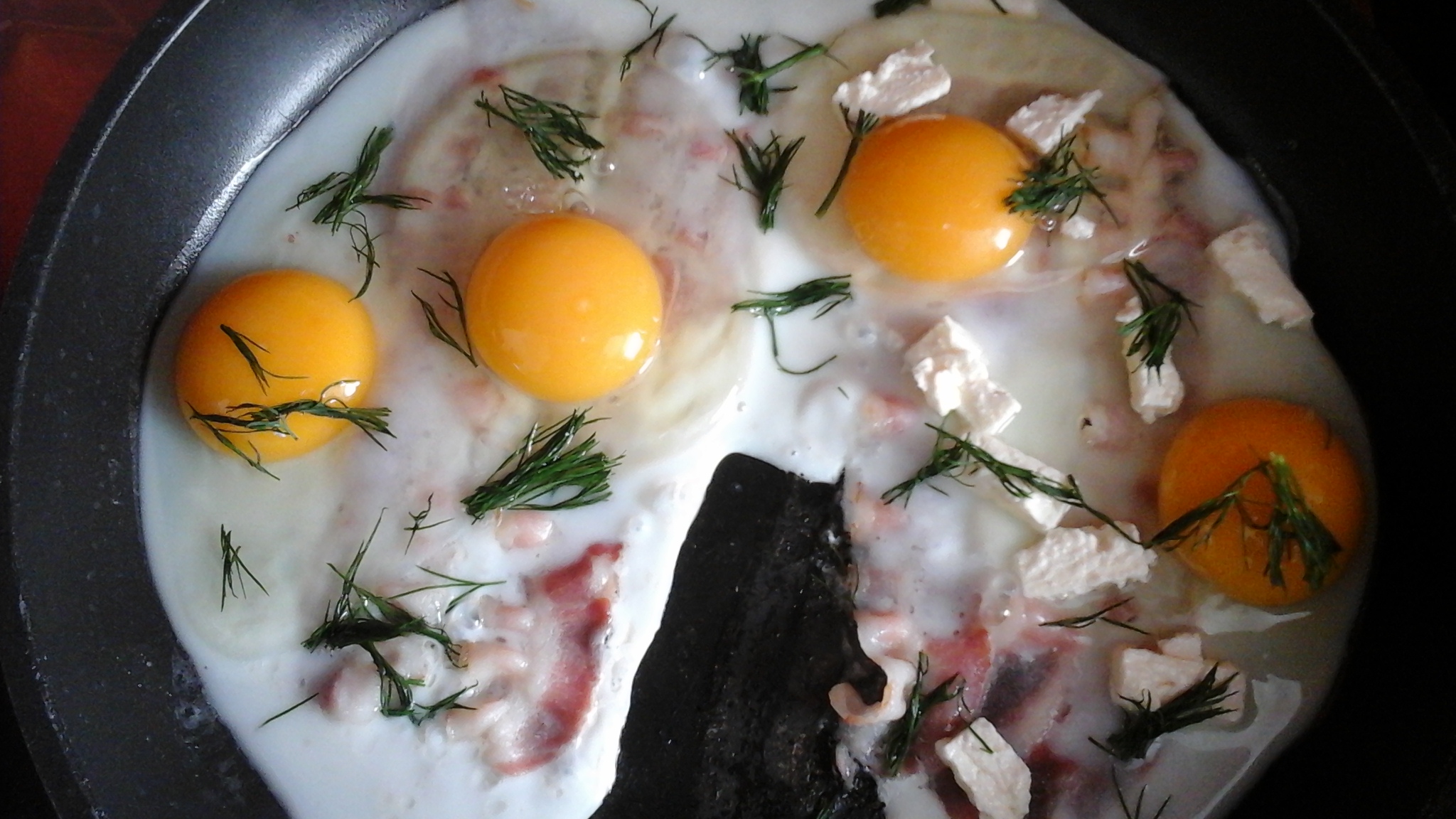 20150927_092609.jpg