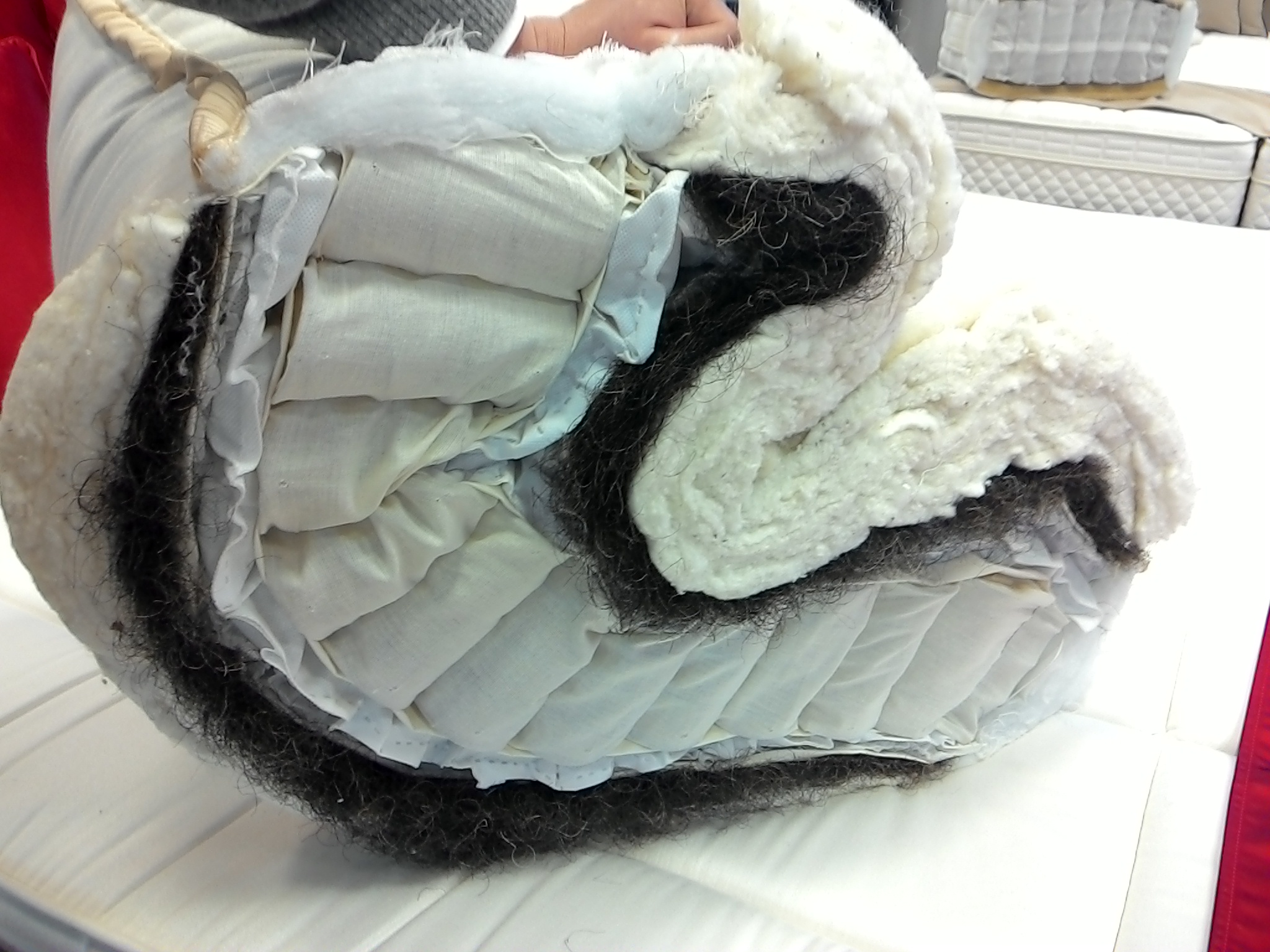 2015120150733.jpg