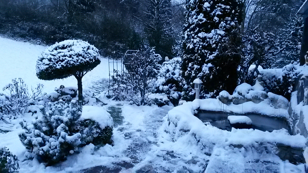 20160103_163309.jpg