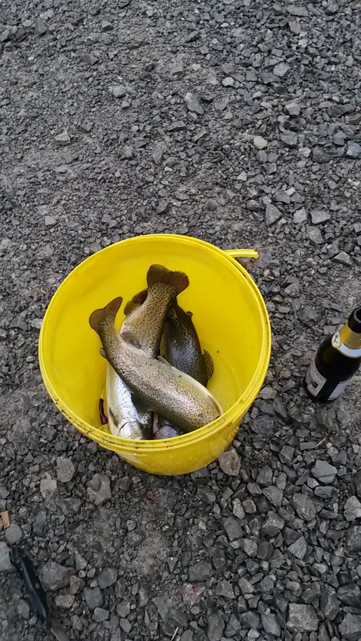 20160325_101335.jpg