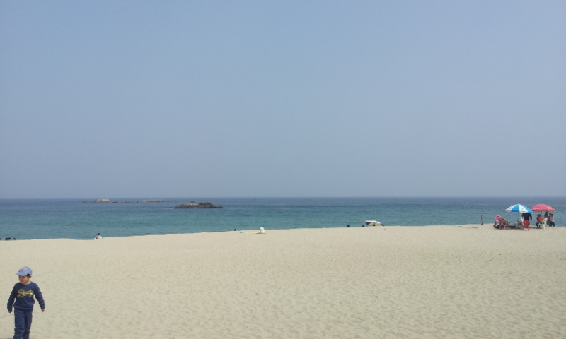 20160409_121156.jpg