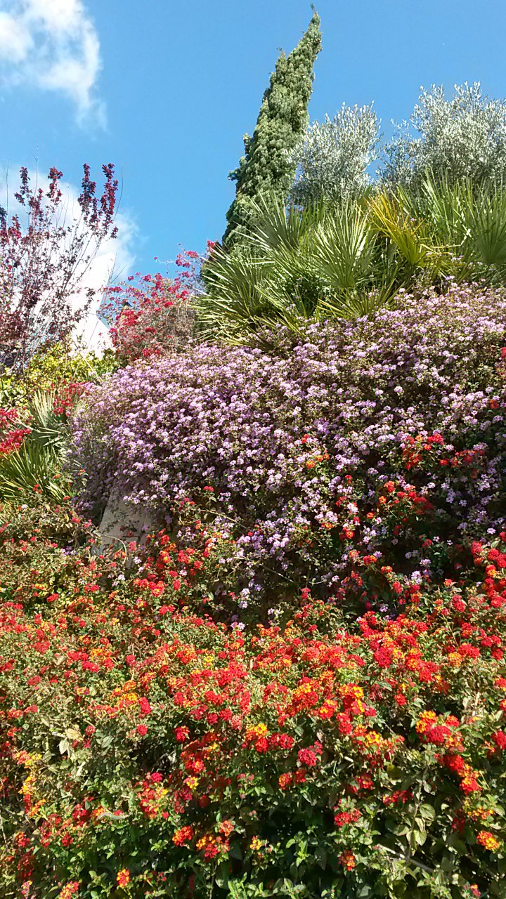 20160423_105603.jpg