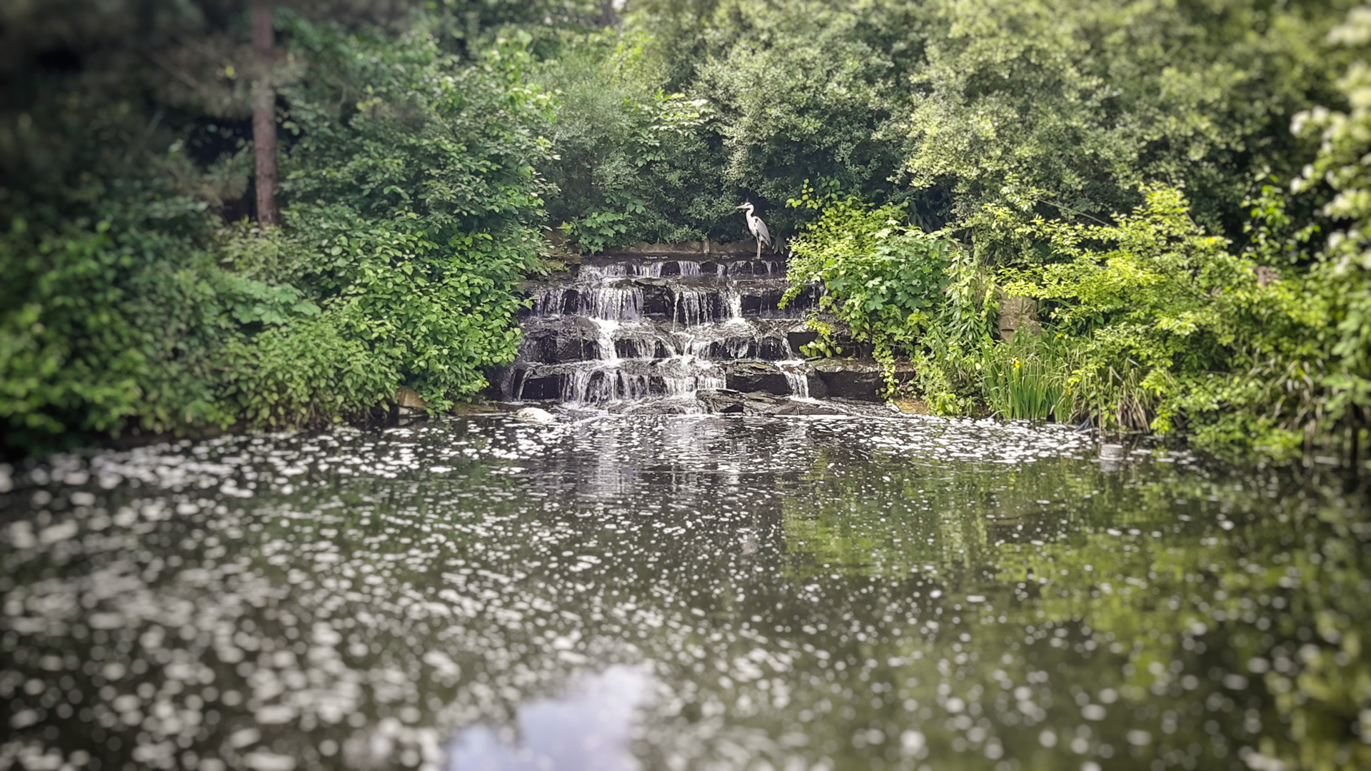 20160529_124536_Richtone(HDR)-Edit.jpg