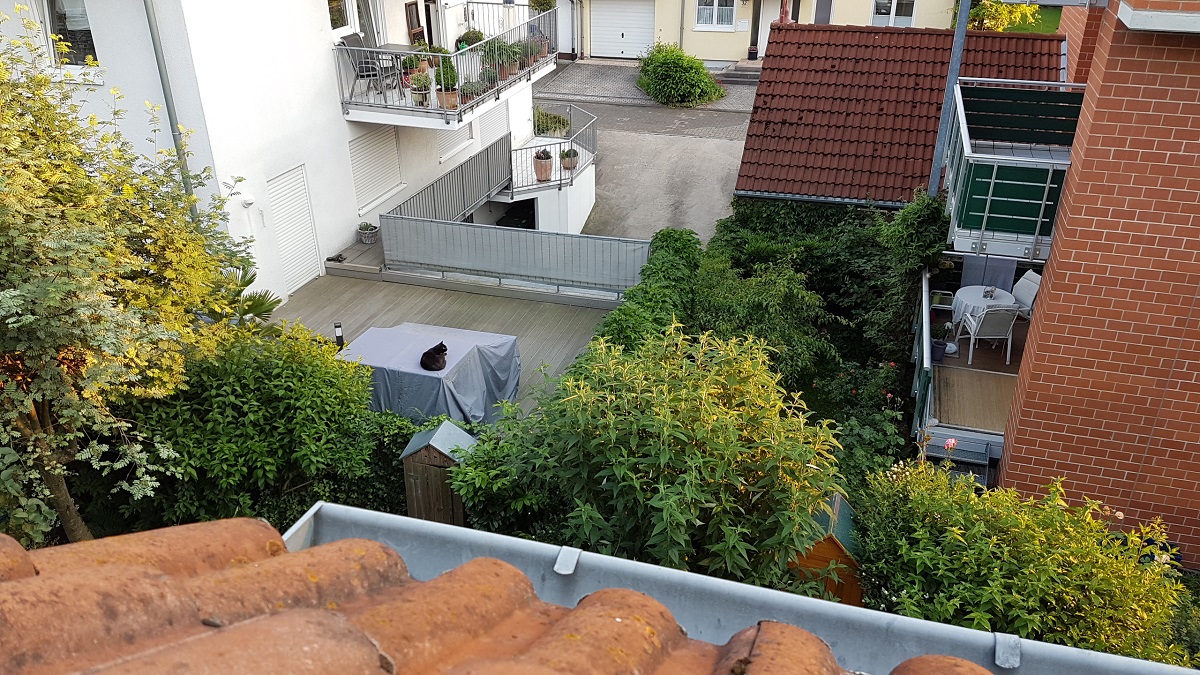 20160606_203752.jpg