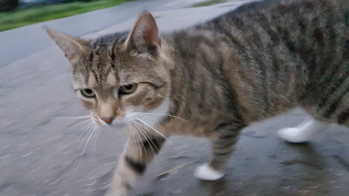20160608_214721.jpg