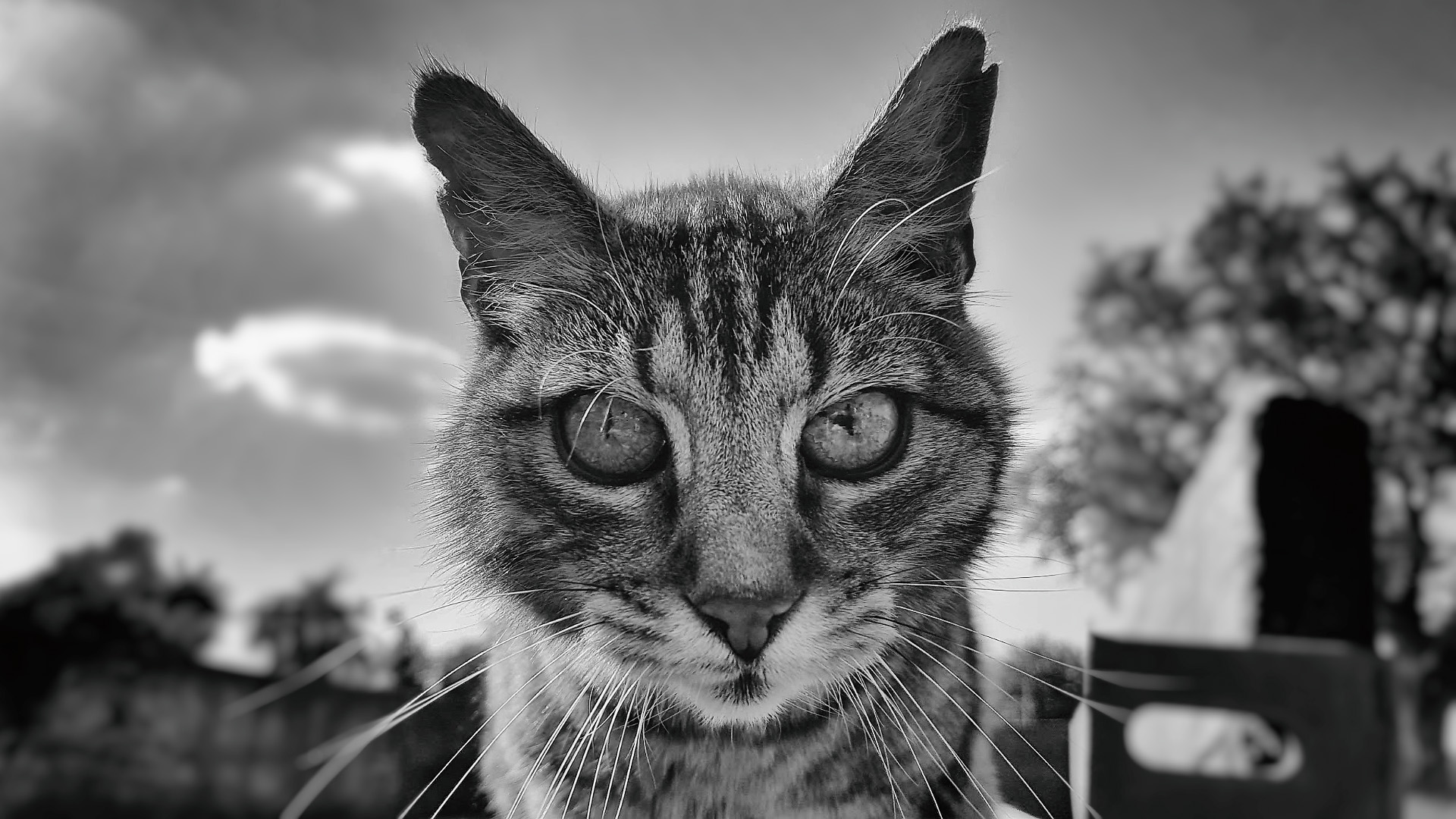 20160609_173651.jpg
