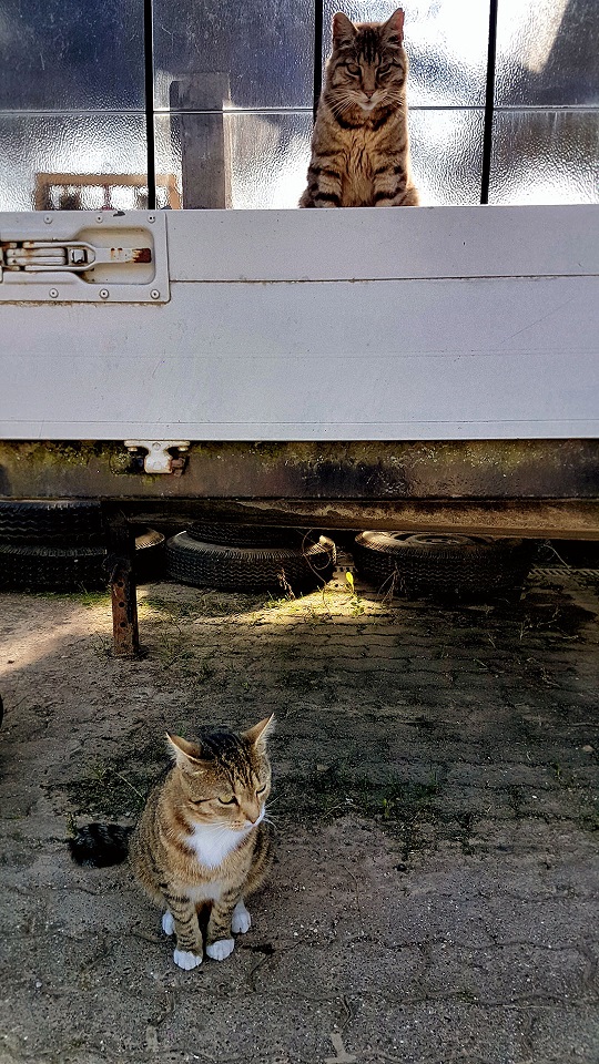 20160609_1742012.jpg
