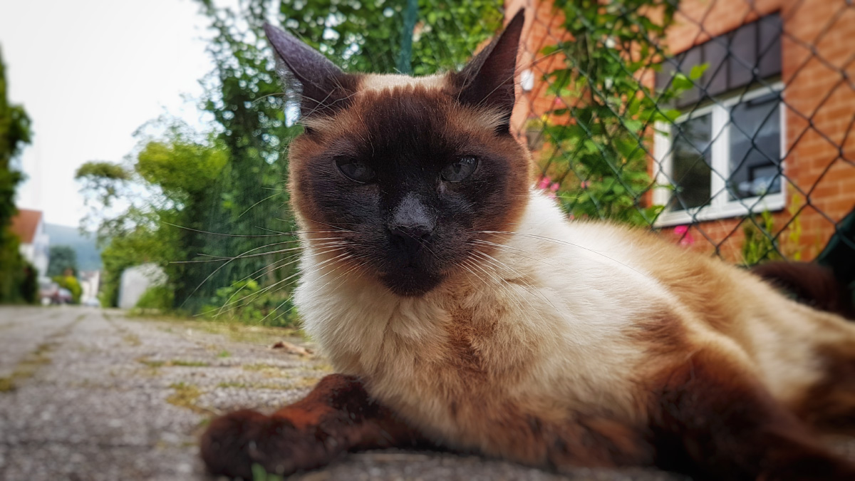 20160611_202016.jpg