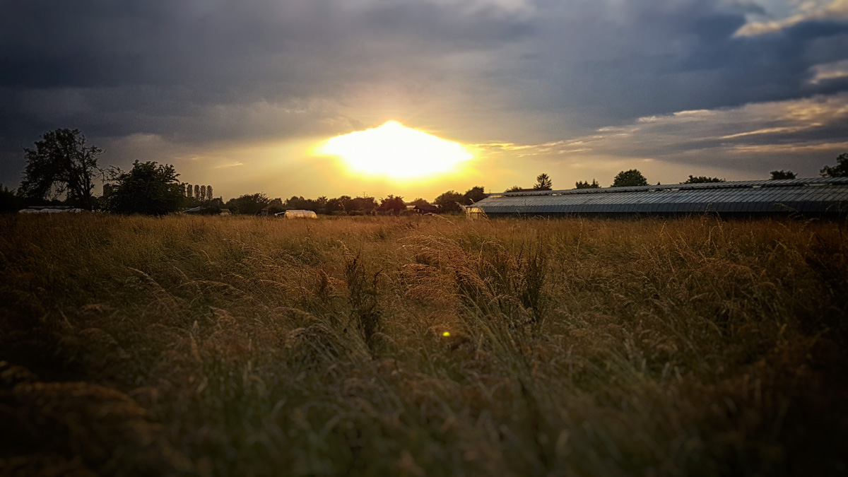 20160611_203441.jpg