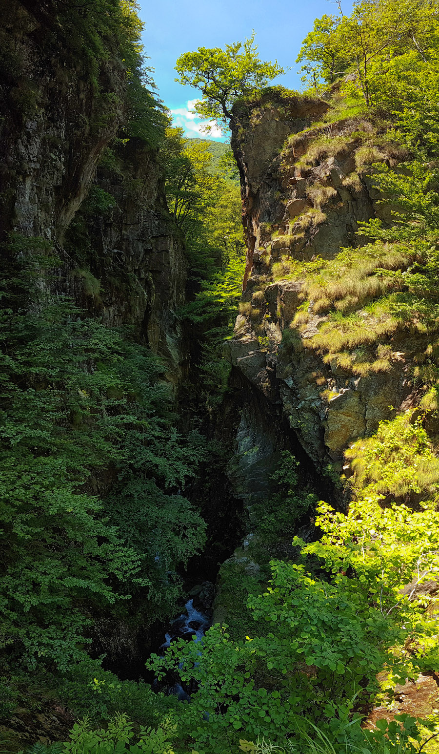 20160622_134915.jpg