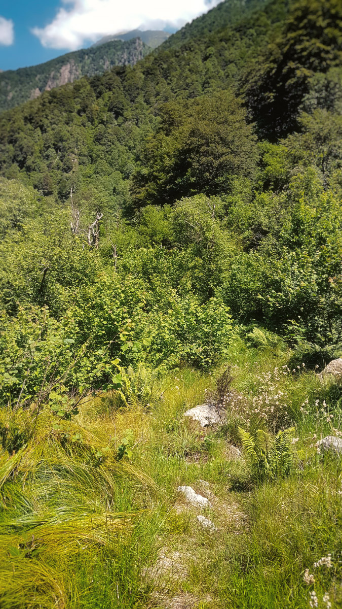 20160622_141253.jpg