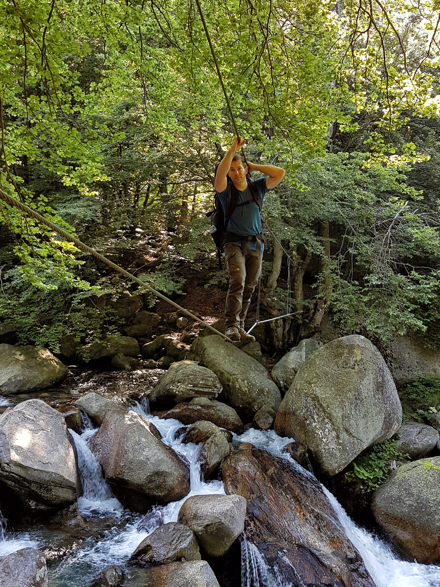 20160624_090617.jpg