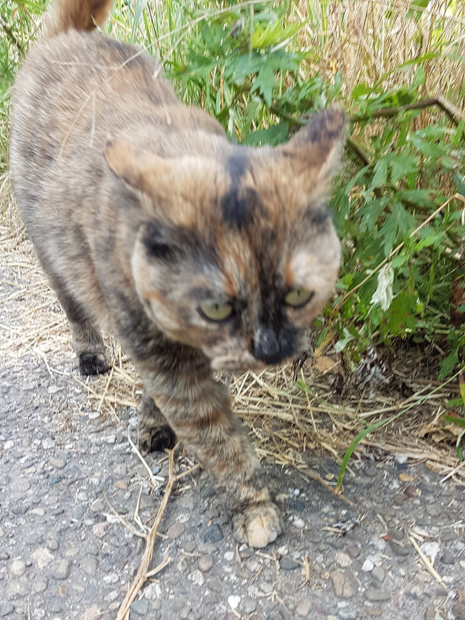 20160706_184632.jpg