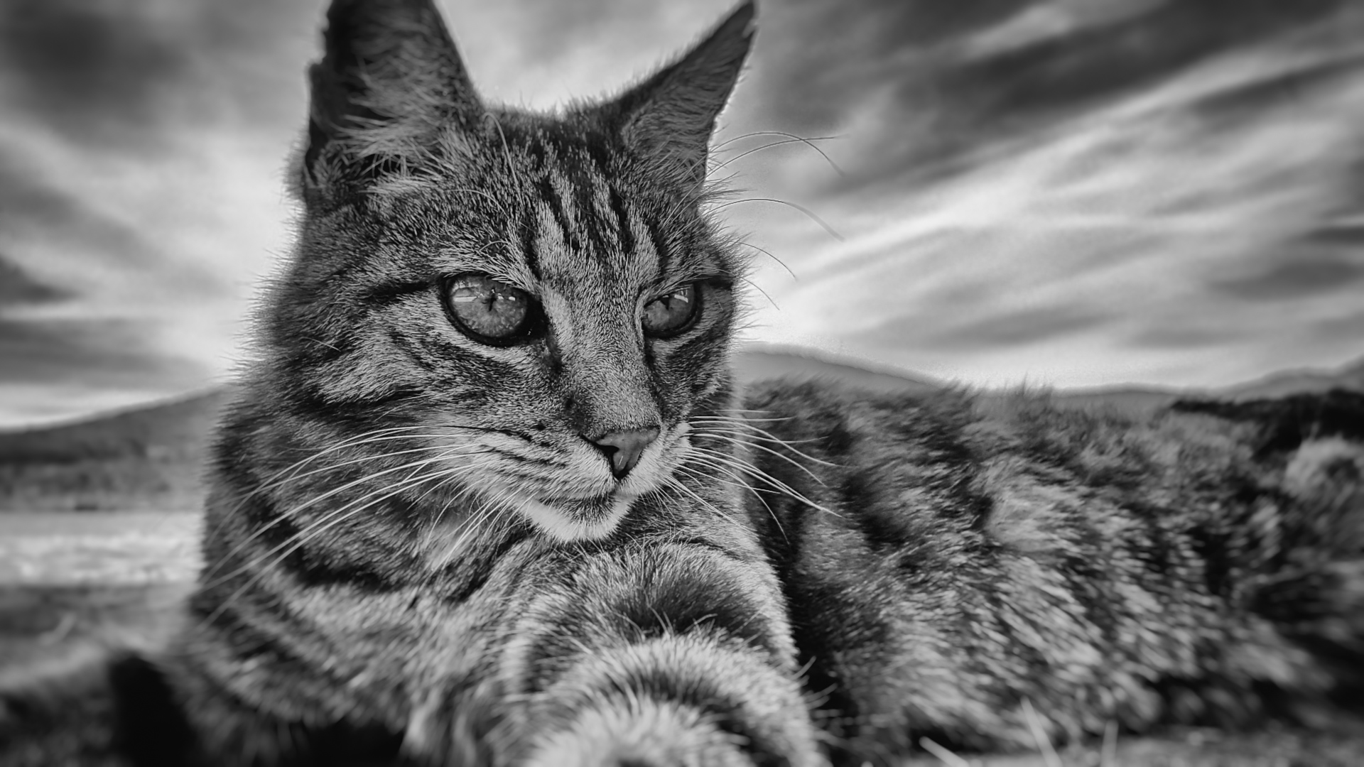 20160710_130800-Edit.jpg