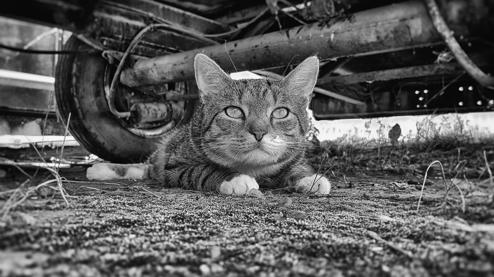 20160710_131258-Edit.jpg
