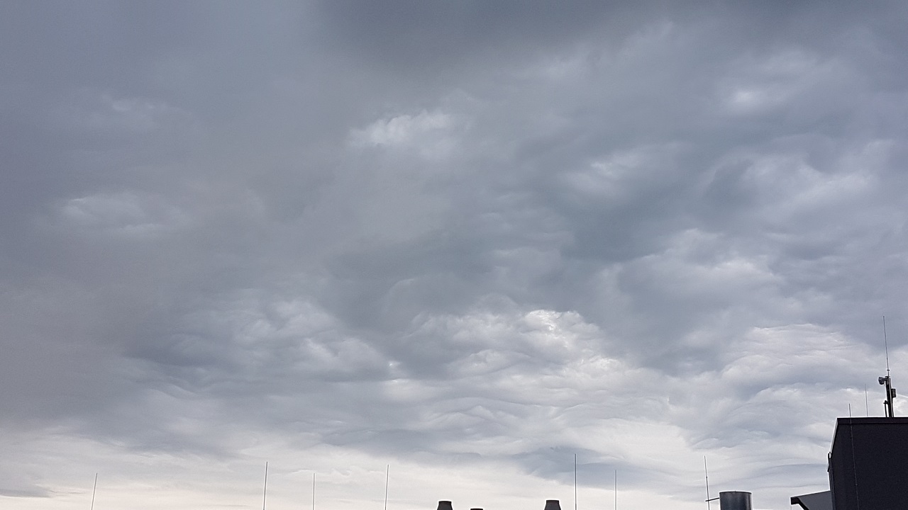 20160711_154940.jpg