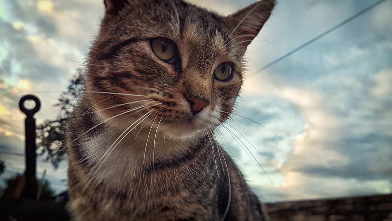 20160716_205952.jpg