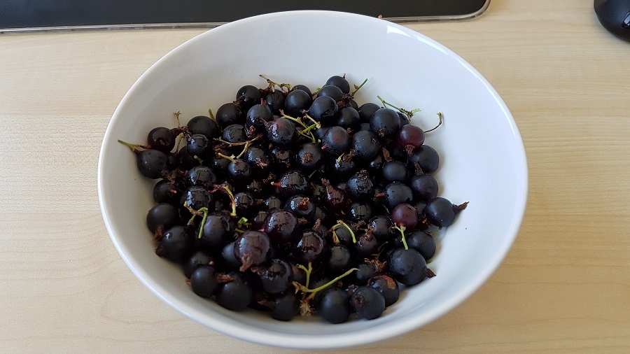 20160719_123757.jpg